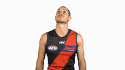 essendonfc dons bombers essendon essendon fc GIF