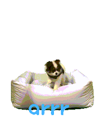 아르르 Sticker by arrr_official