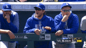 claps dugout GIF by MLB