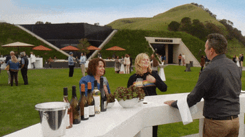 pinot grigio cheers GIF by NETFLIX