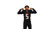 Drake London Sticker by Atlanta Falcons