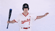 Texas Tech Ncaa GIF by Texas Tech Baseball