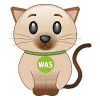 WhatsAppSIM cat meme emoji katze Sticker