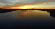maine GIF