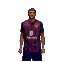 Football Soccer Sticker by FC Basel 1893