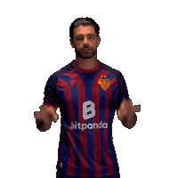 Football Soccer Sticker by FC Basel 1893