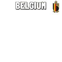 World Cup Football Sticker by Pudgy Penguins