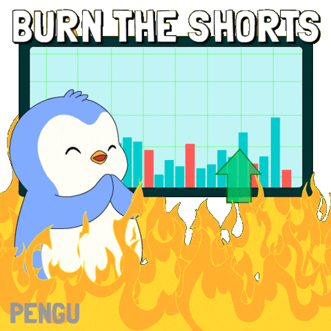 Crypto Send It GIF by Pudgy Penguins