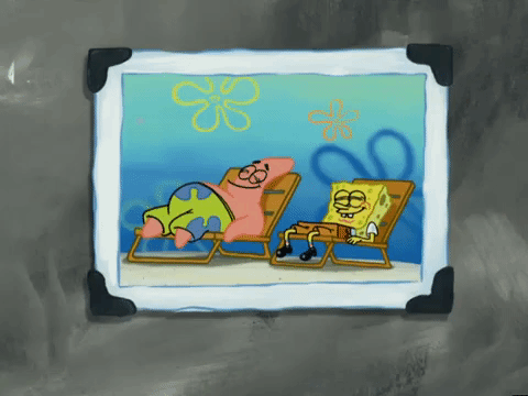 season 4 GIF by SpongeBob SquarePants