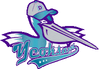 F45 Docklands Sticker by f45gangnam