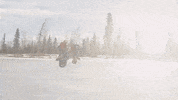 GIF by Okkult Motion Pictures