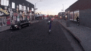 los angeles bird GIF by Abby Jasmine
