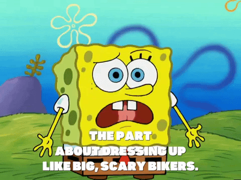 season 4 GIF by SpongeBob SquarePants