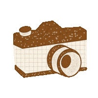 Camera Foto Sticker