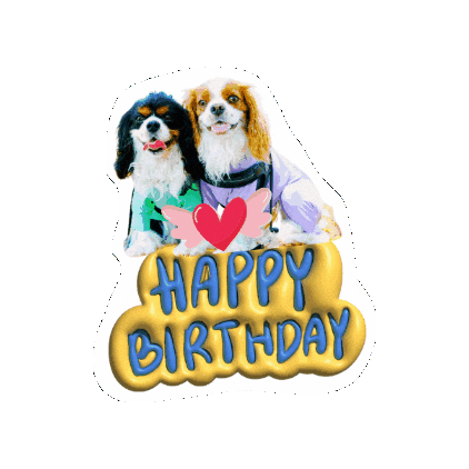 Cavalierkingcharlesspaniel Sticker