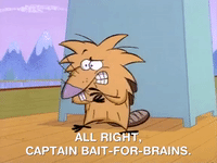 nickrewind nicksplat angry beavers GIF