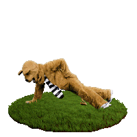 We Are Lions Sticker by Penn State