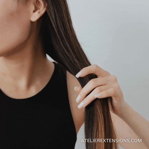 AtelierExtensions giphyupload GIF