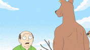 Tv Show Australia GIF by HULU