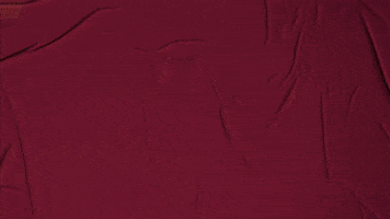 College Baseball GIF by Pearl River Athletics