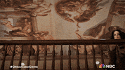 Nbc Looking GIF by Law & Order