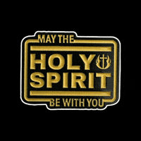 Star Wars Christian GIF by Pinned Pins
