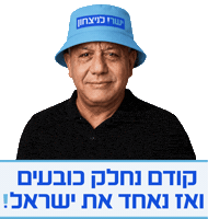 Politics Israel Sticker by Relevant Design