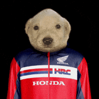 Navi Hondamotos GIF by Honda Motos Perú Oficial