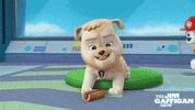 jim gaffigan dogs GIF by TV Land