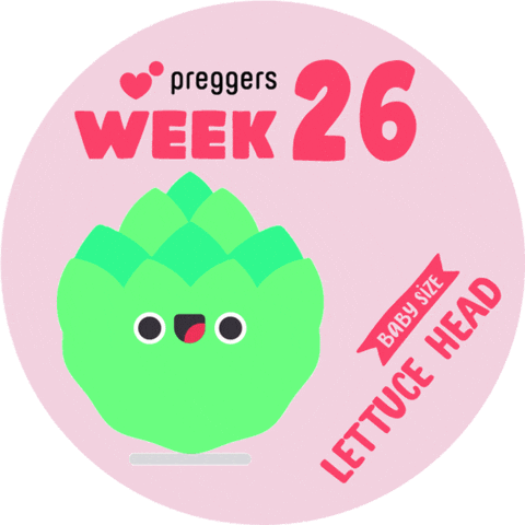 Lettuce Head Baby Sticker by Preggers