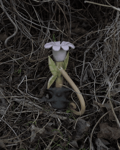 ddworld giphyupload GIF