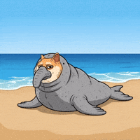 Tired Shiba Inu GIF by Doge Pound