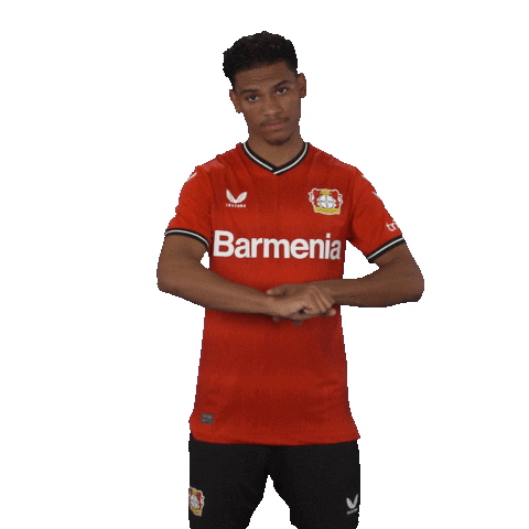Come On Please Sticker by Bayer 04 Leverkusen