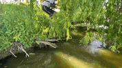 Large Fish Pulls Man Into The Water GIF by ViralHog