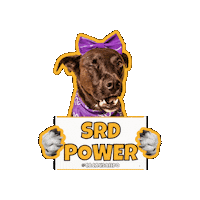 Dog Love Sticker