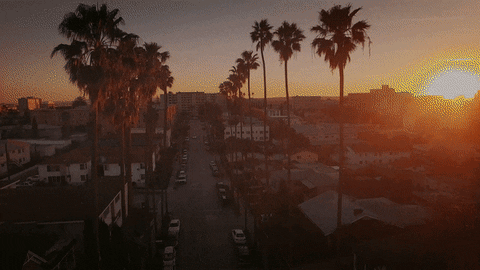 ZachBrandon giphyupload music vibes california GIF
