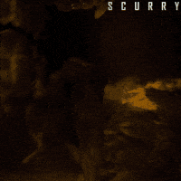 Scuttle Creature Feature GIF by Signature Entertainment