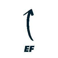 Look At This Sticker by EF Education First