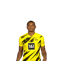 No Idea Whatever Sticker by Bundesliga