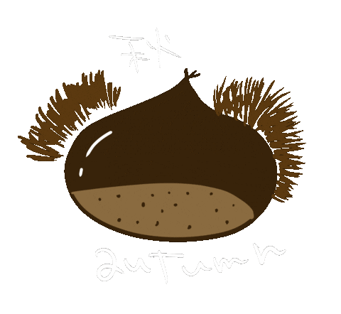 Fall Autumn Sticker