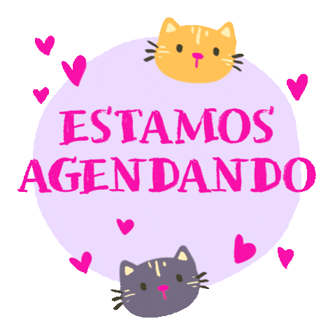 Cat Kitten Sticker by universoanimalmx