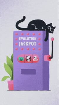 Ssaft GIF