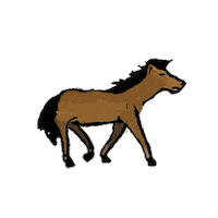 Horse Sueños Sticker by Loto Honduras