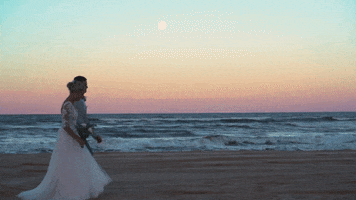 Sunset Beach Wedding GIF by Tayla McGrath Projects