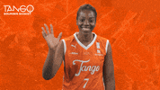 Basketball Hello GIF by Tango Bourges Basket
