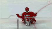 hockey nhl GIF by Carolina Hurricanes