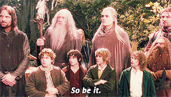 lotr GIF