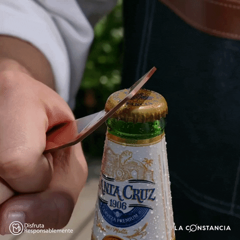 SantaCruz1906 giphyupload beer cerveza bottle GIF