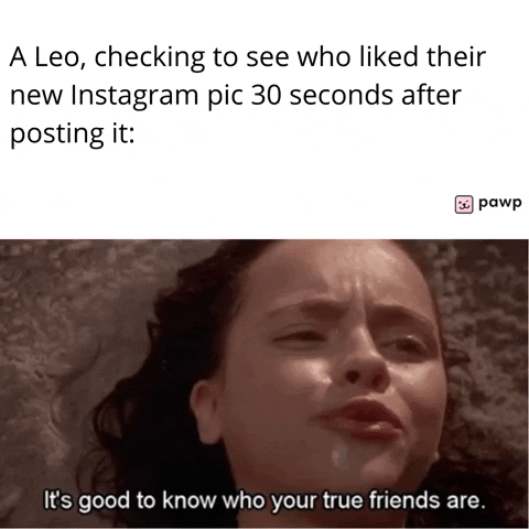 mypawp giphyupload GIF