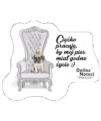 Cat Love Sticker by Dolina Noteci